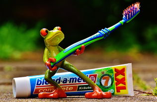 宝宝刷牙吞咽牙膏氟中毒怎么办选无氟可吞？